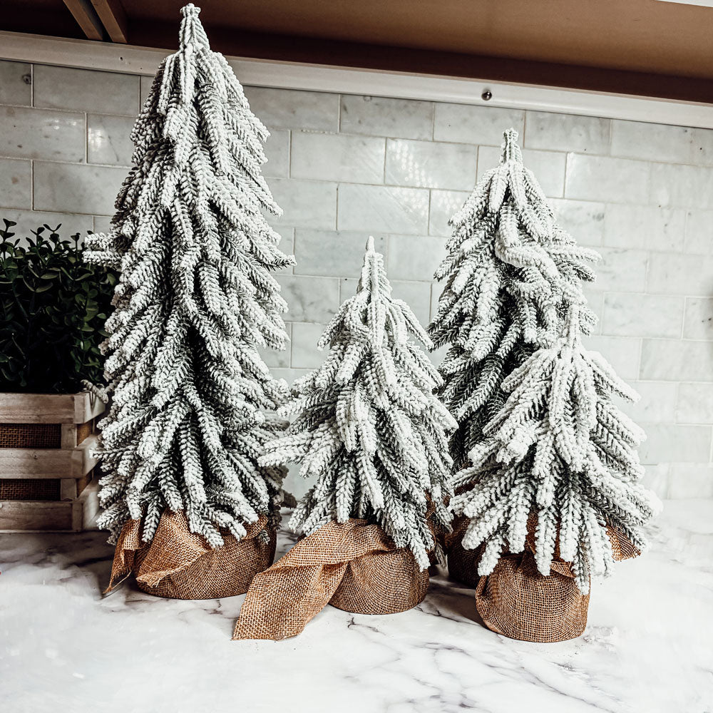 Snow Christmas Trees