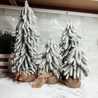 Snow Christmas Trees