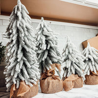 Snow Christmas Trees