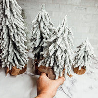Snow Christmas Trees