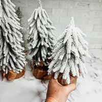Snow Christmas Trees