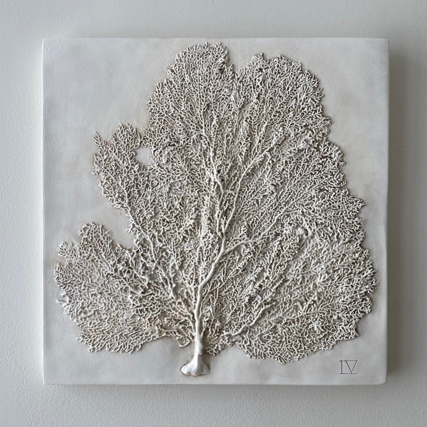 Sea Fan IV