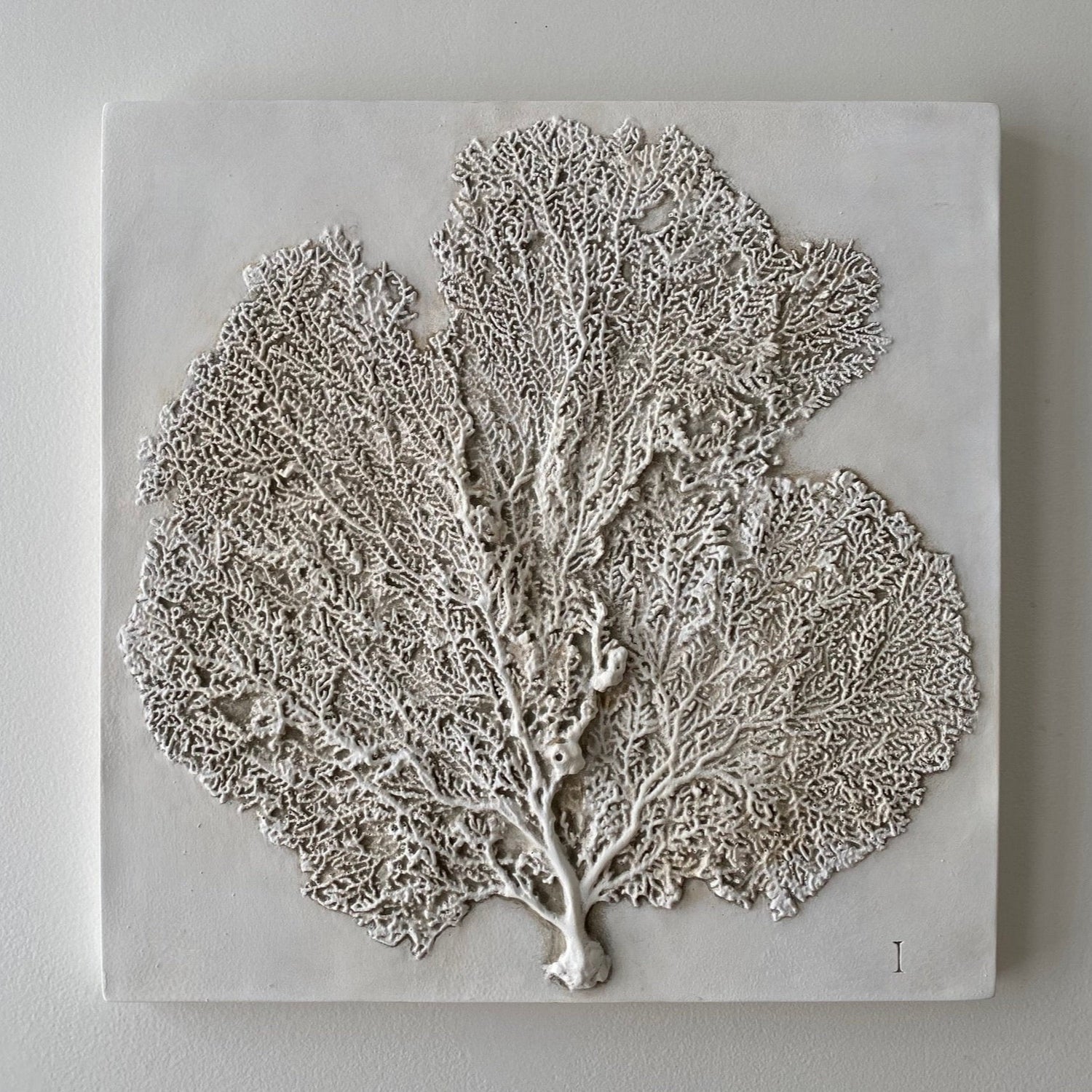 Sea Fan I