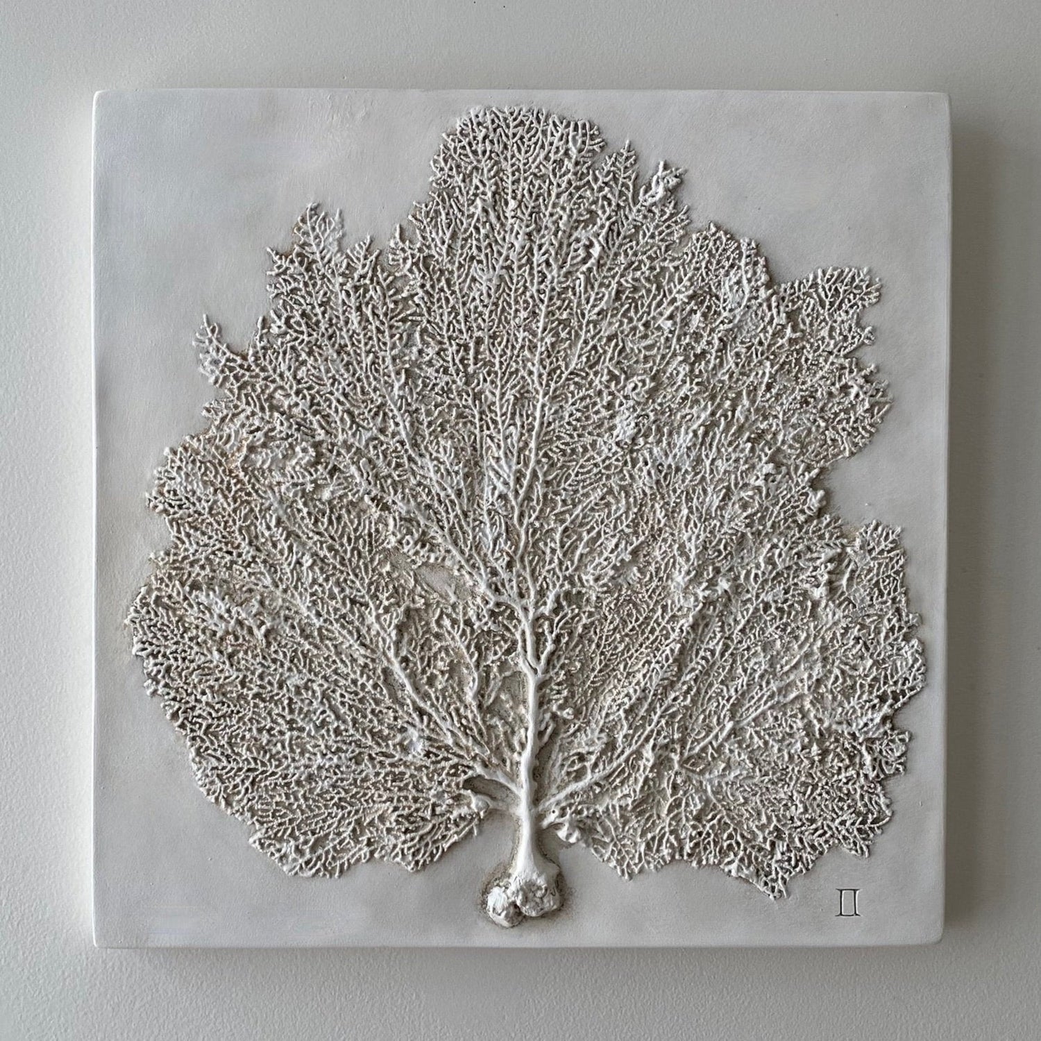 Sea Fan II