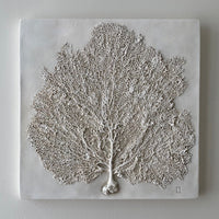 Sea Fans, Set of Four