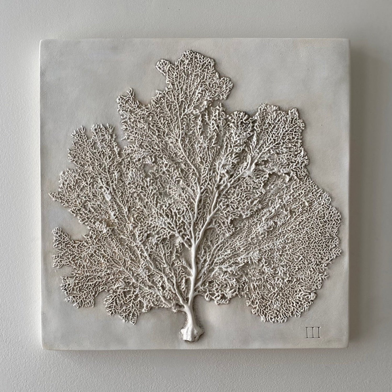 Sea Fan III