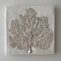 Sea Fan III