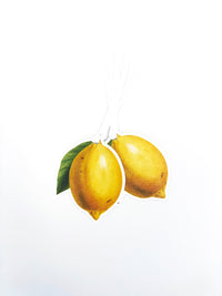 Lemon Wrapping Paper as Set w/ Gift Tags or