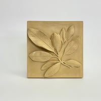 Magnolia Leaves with Bud