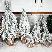 Snow Covered Trees (Various Sizes)