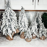 Snow Covered Trees (Various Sizes)