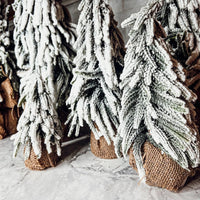 Snow Covered Trees (Various Sizes)