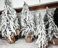 Snow Covered Trees (Various Sizes)