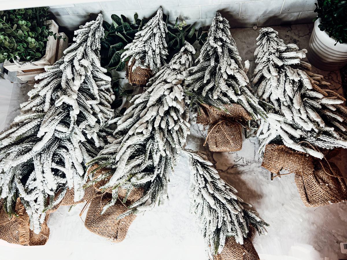 Snow Covered Trees (Various Sizes)