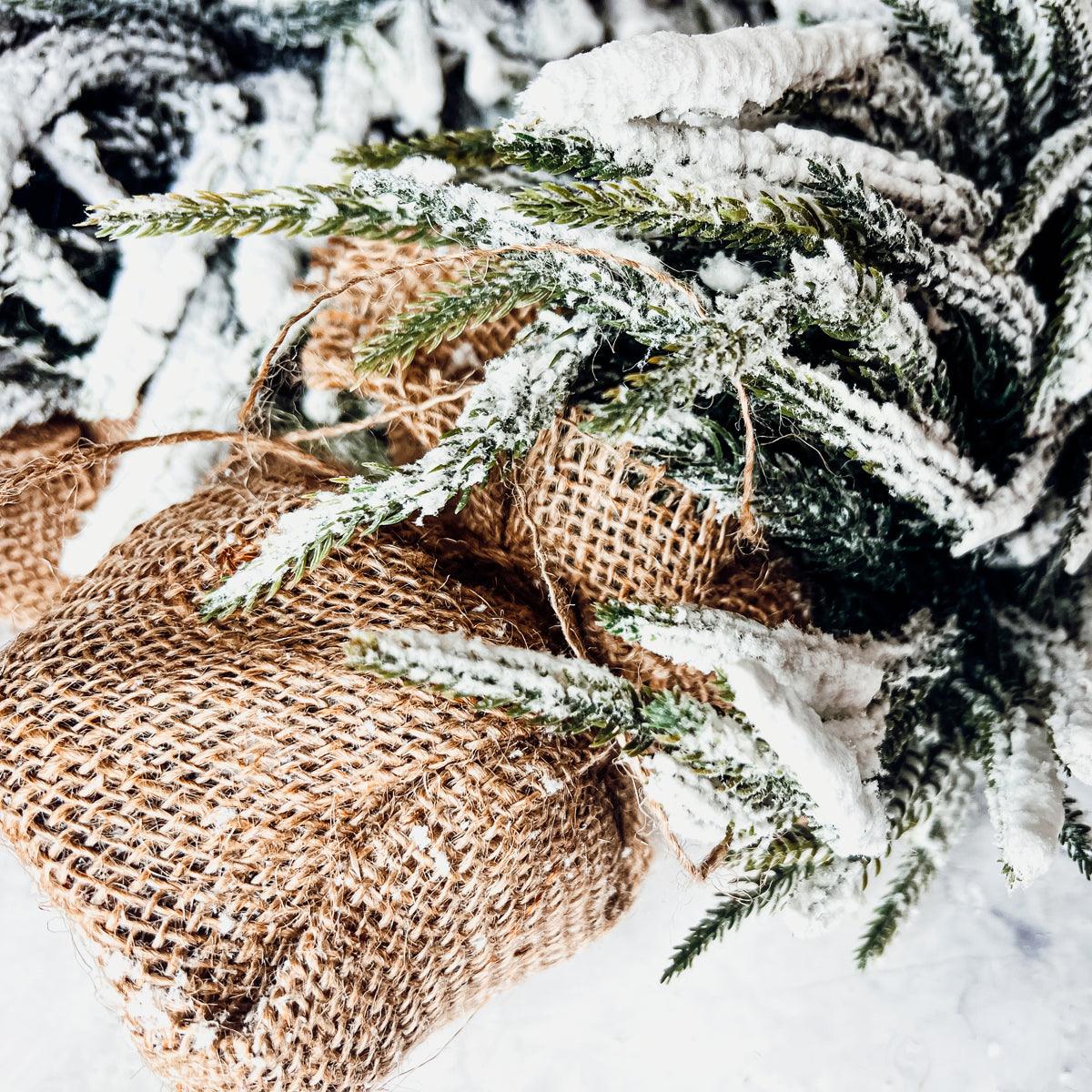 Snow Covered Trees (Various Sizes)