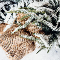 Snow Covered Trees (Various Sizes)