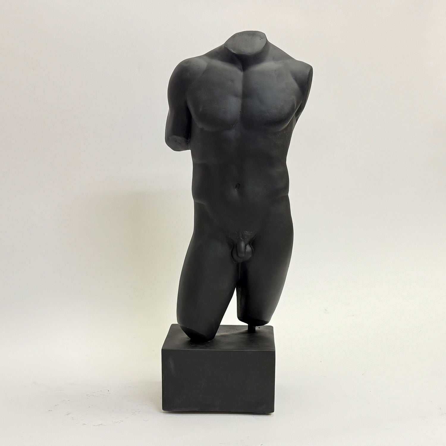 Male Torso