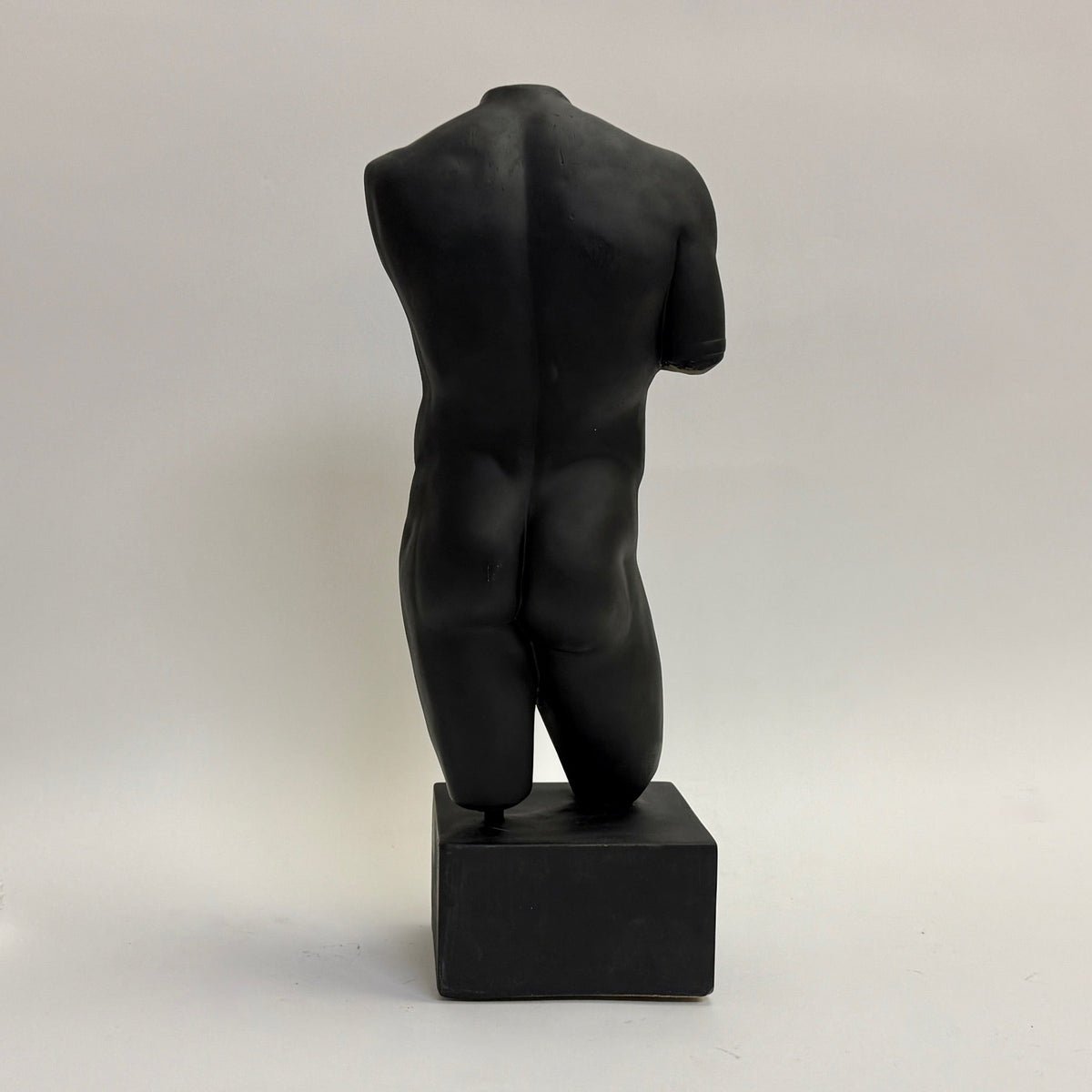 Male Torso