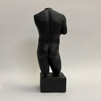 Male Torso