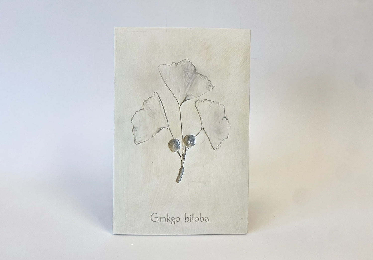 Botanical: Ginkgo