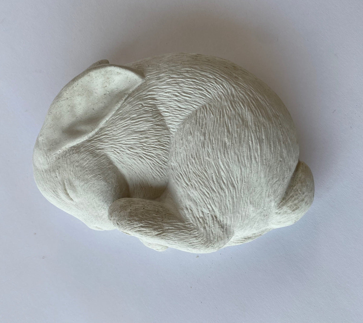 Sleeping Bunny