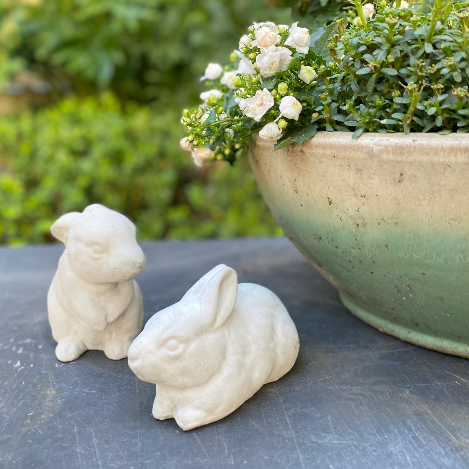 Spring Bunnies