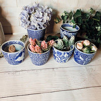Mini Chinoiserie Cachepots (Various Prints)