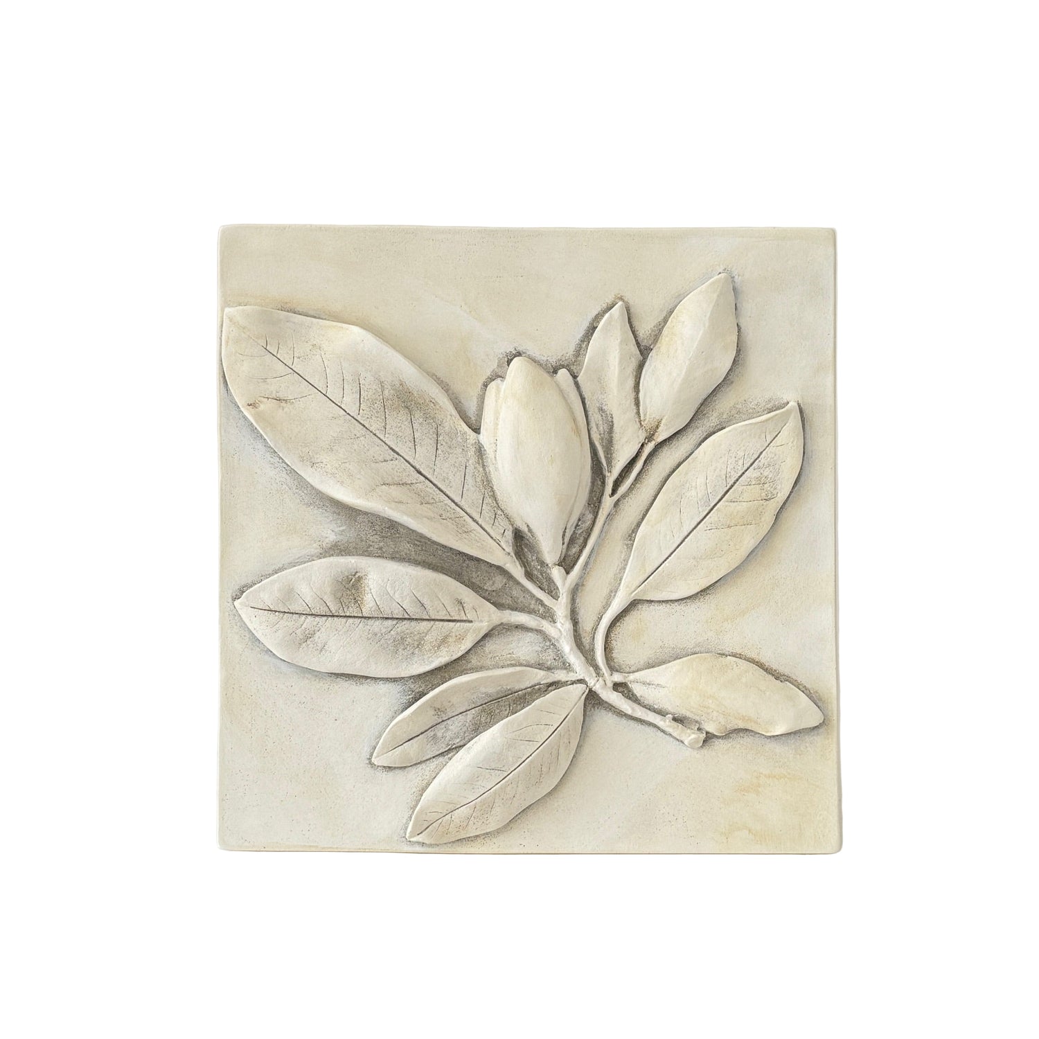 Magnolia Leaves with Bud