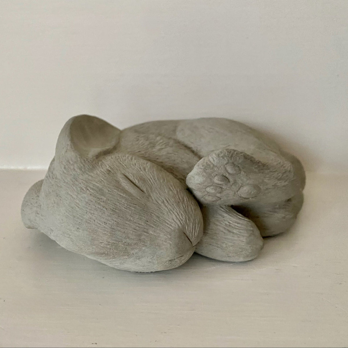 Sleeping Bunny