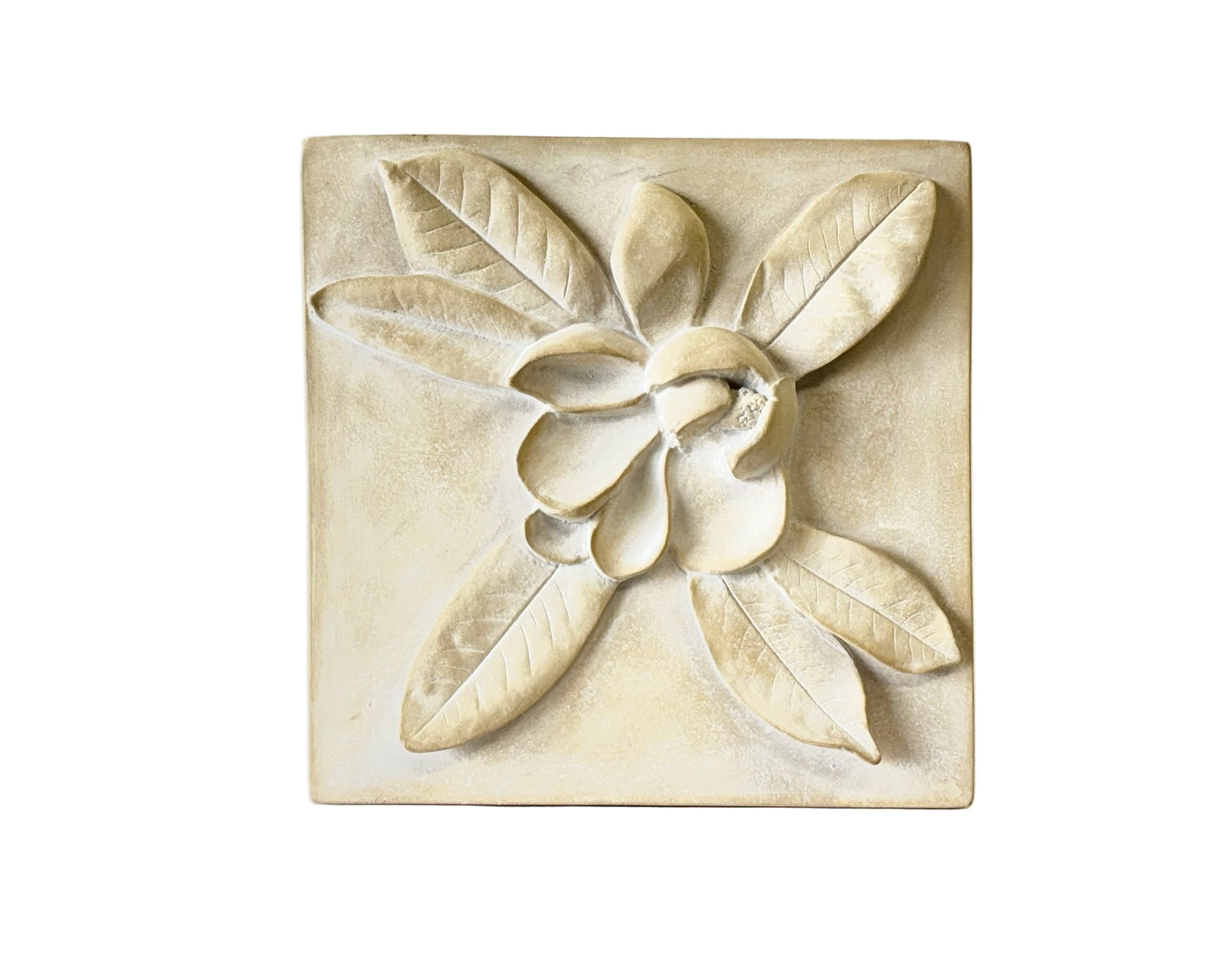 Magnolia Blossom
