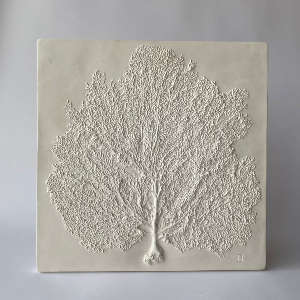 Sea Fan II