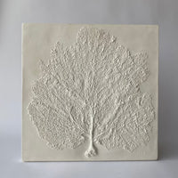 Sea Fan II