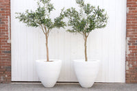 Classic White Round Planter, Set of 2