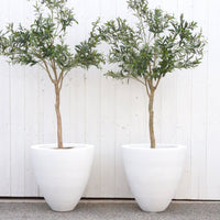Classic White Round Planter, Set of 2