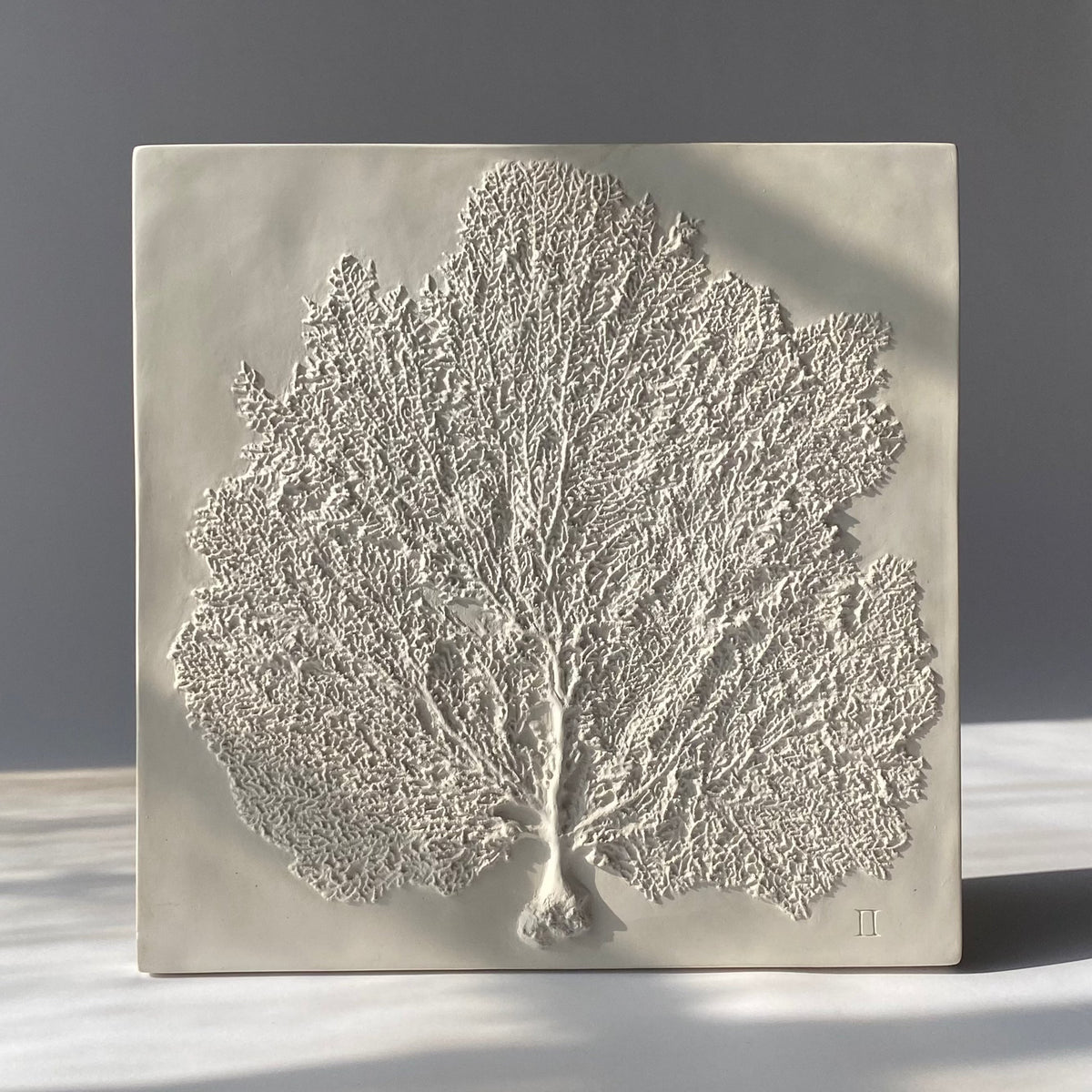 Sea Fan II