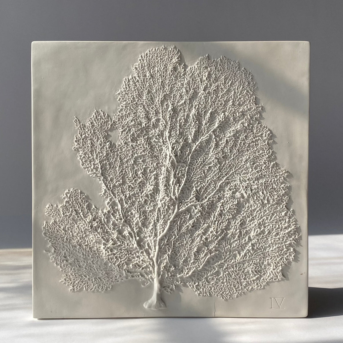 Sea Fan IV