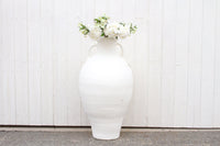 Amphora Greek Terracotta Planter