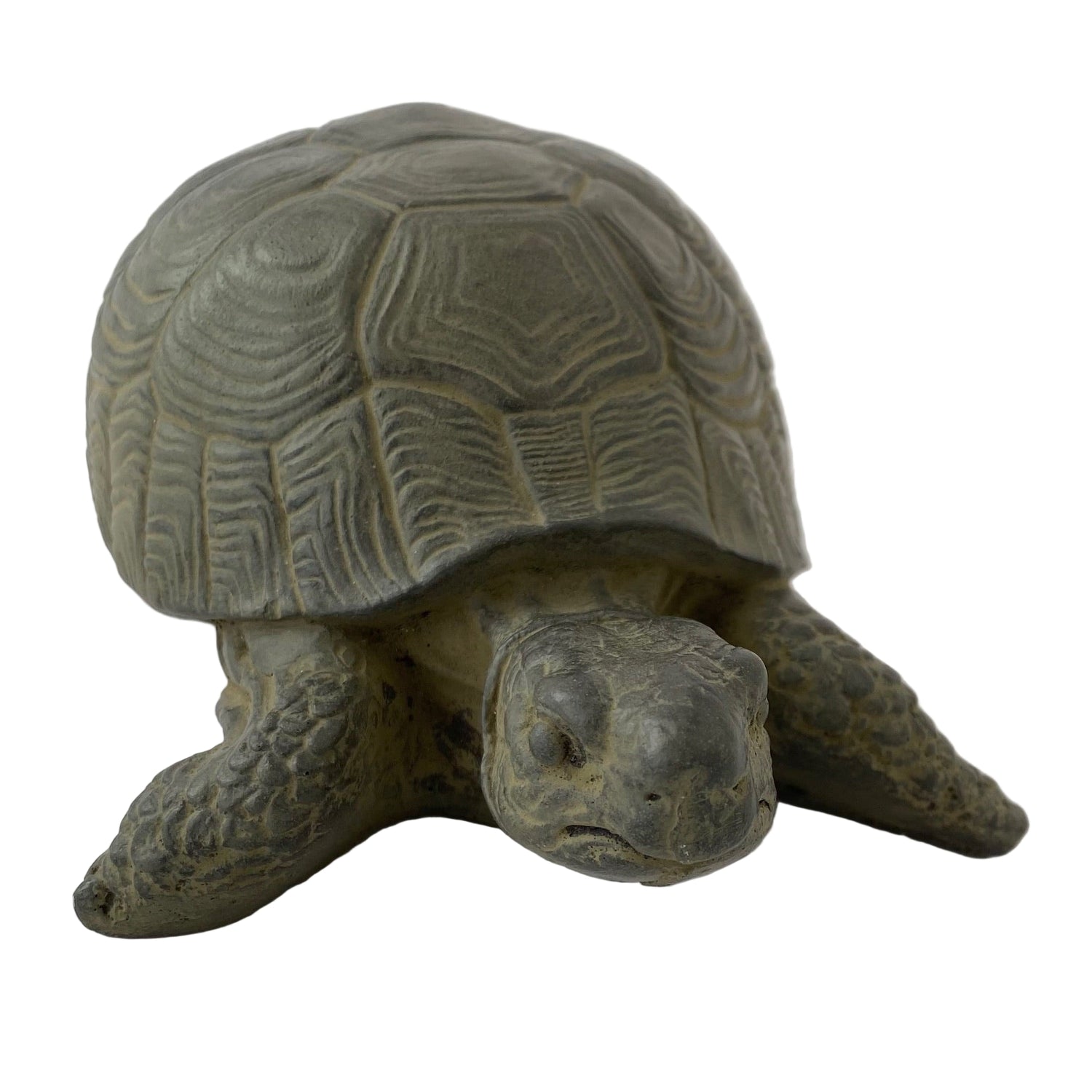 Box Turtle