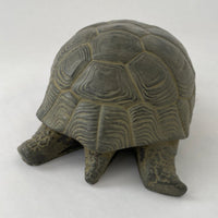 Box Turtle