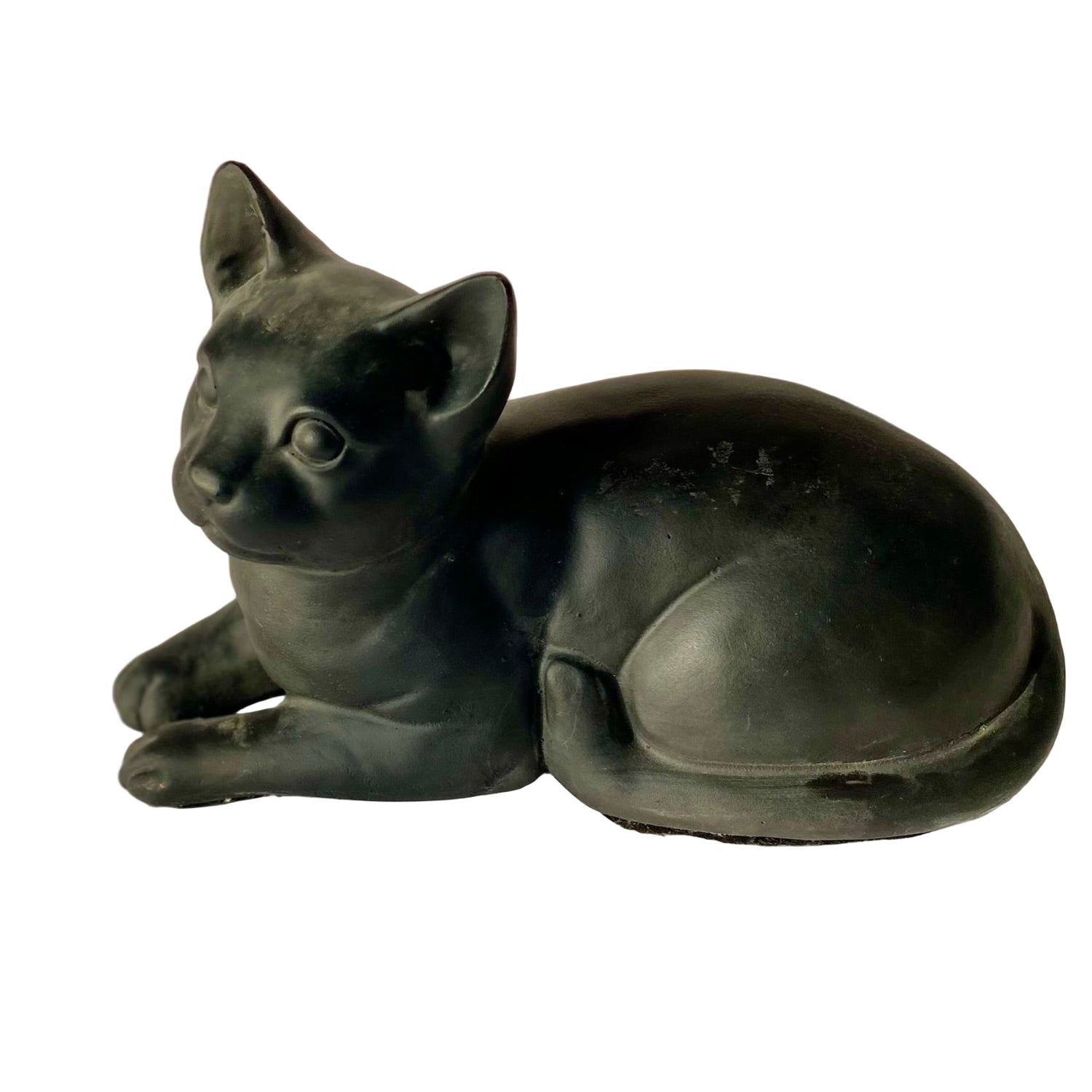 Resting Cat