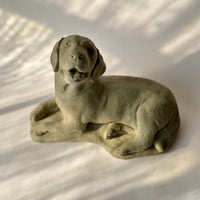 Sweet Dog