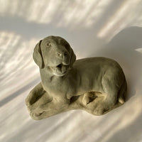 Sweet Dog