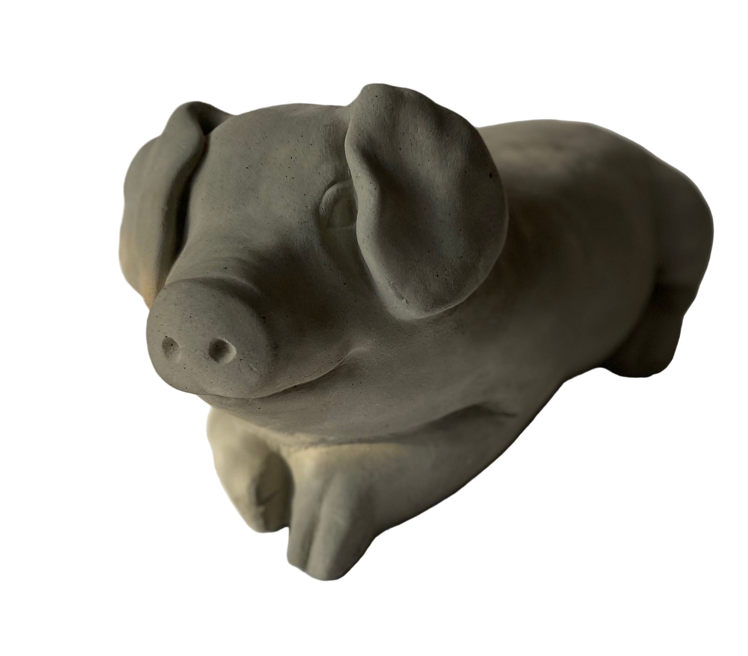 Happy Pig