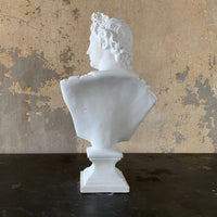 Bust of Apollo