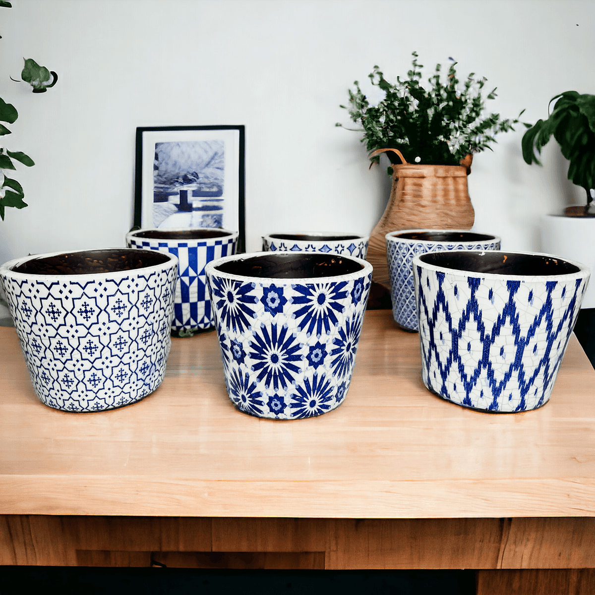 Terracotta Pot 5.5" (Various Prints)