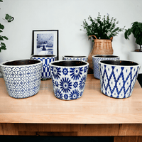 Terracotta Pot 5.5" (Various Prints)