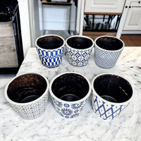 Terracotta Pot 5.5" (Various Prints)