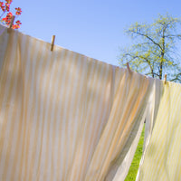 Lychee Sorbet Stripe Tablecloth (various sizes)