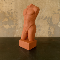 Male Torso