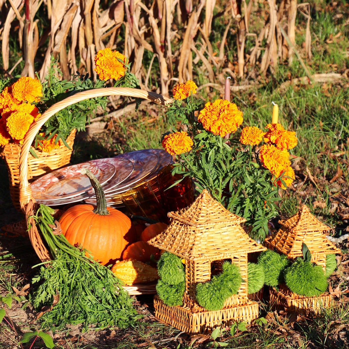 Natural Rattan Pagoda Set - Pair of Large